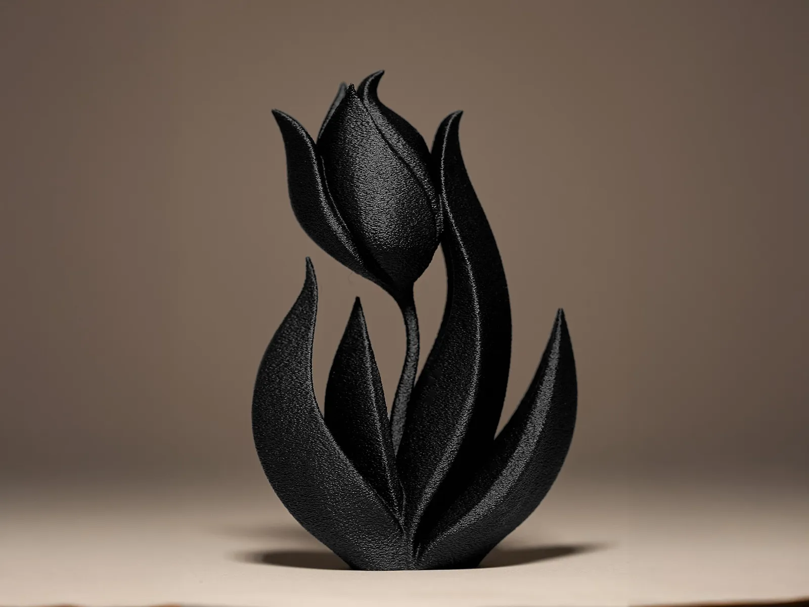 Tulipa 3d